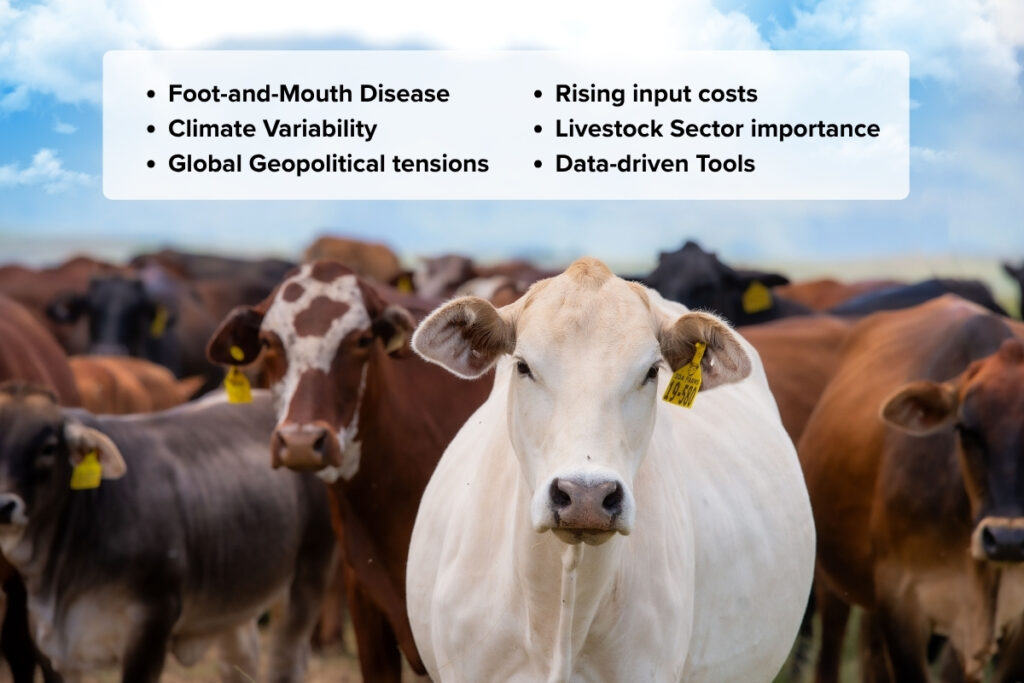 Pinion SA Blogs and Business Insights | Livestock Farming in South Africa: Current Pressures and the Promising Path Ahead