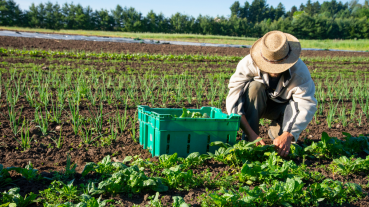 Pinion SA Blogs and Business Insights | Safe Farming, Strong Future Campaign: PPE and Training: Safety Without Shortcuts – What’s Required and How to Track It