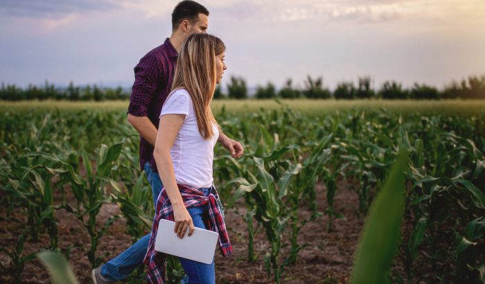 Pinion Advisory | Expert Business, Tax and Agri Advisory Backed by Global Best Practice