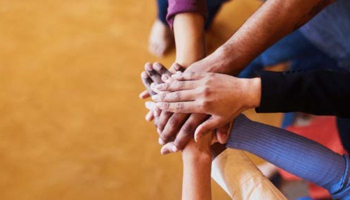 Pinion Human Capital | Human Capital and Workforce Compliance Solutions That Build Strong and Resilient Organisations