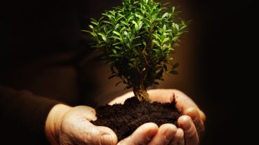 Pinion SA Blogs and Business Insights | Maximise Your 2025 RA and TFSA Contributions for Tax Savings