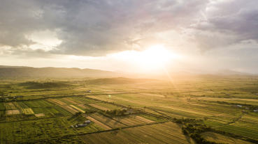 Pinion SA Blogs and Business Insights | Join the 2025 Pinion Agri Conference: Shaping the Future of Agriculture