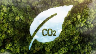 Pinion SA Blogs and Business Insights | Decoding Carbon: Is It Worth Your Investment? – Transform your soil with Andrew Beckerling